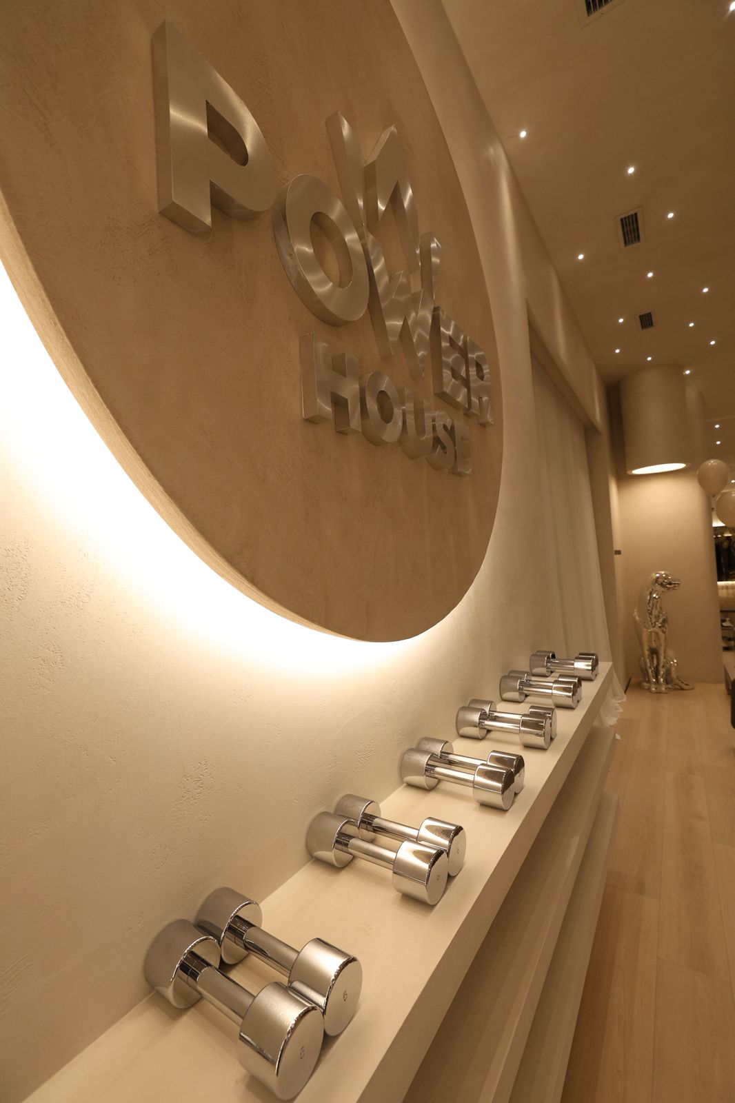 Powerhouse Studio Dumbbells