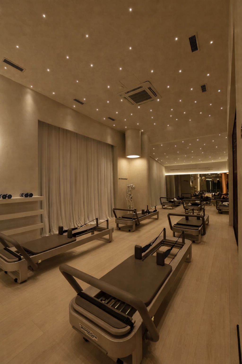 Full Reformer Studio Interior